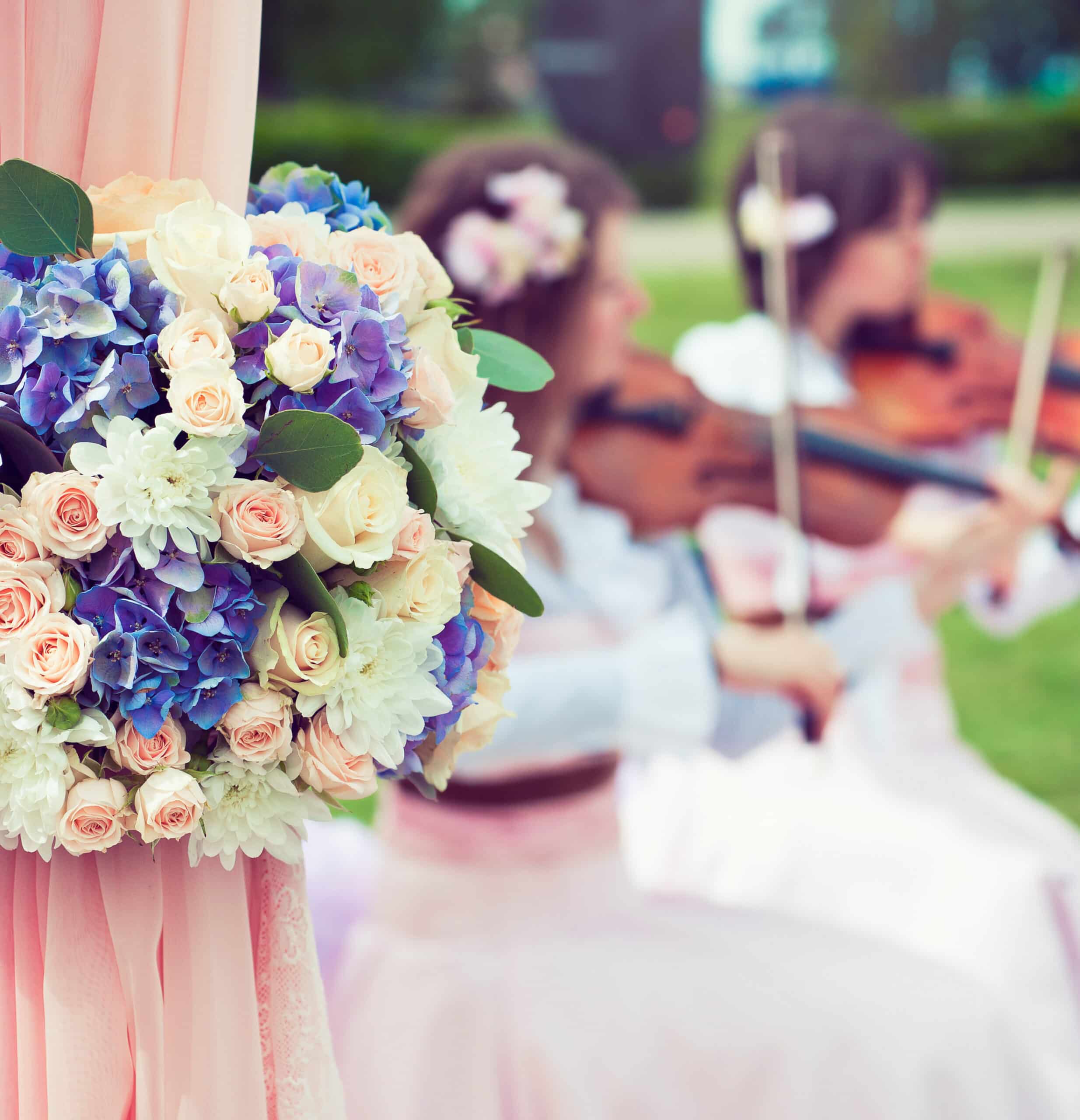 Musicians violinists at the wedding