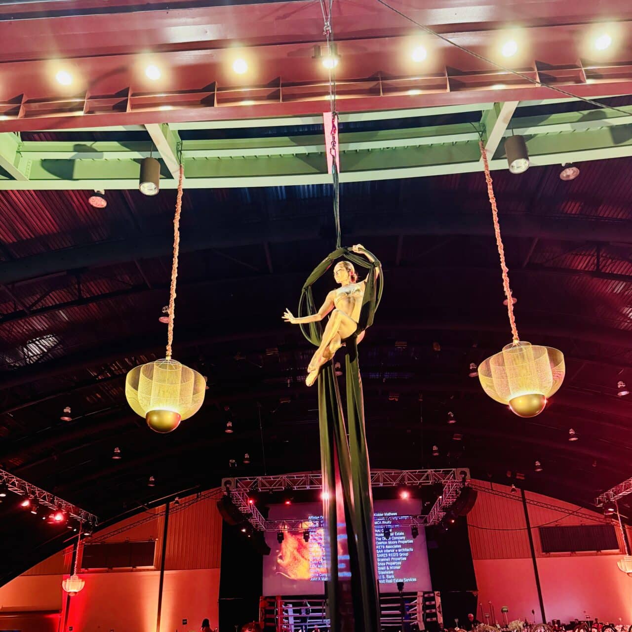 Aerialist entertaining above a crowd at a corporate event